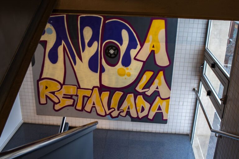 Sistema públic de salut